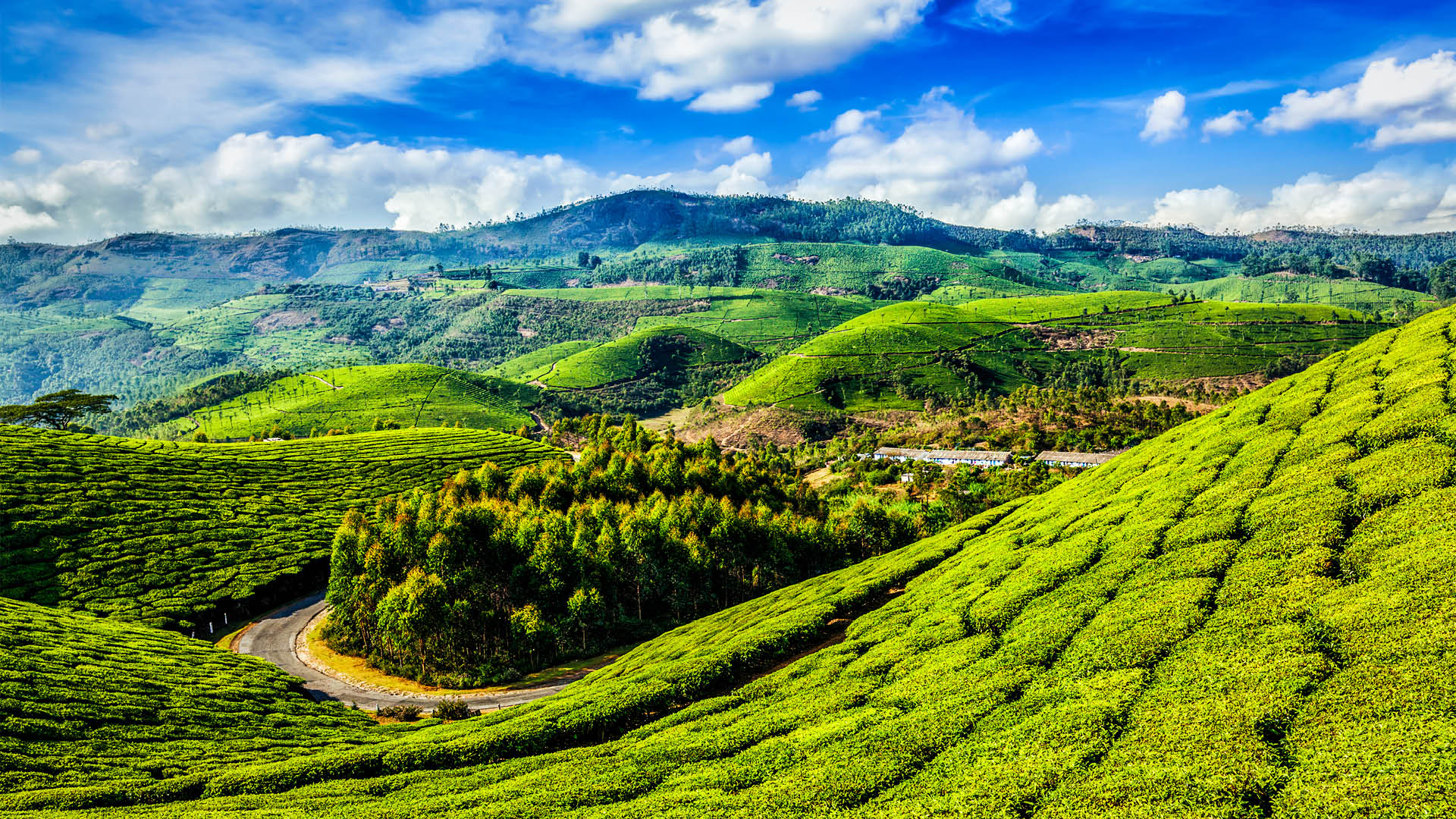 Eco Tourism